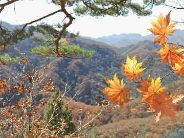 詹雯婷微博，从Faye到詹雯婷，一段音乐之旅的蜕变与坚持